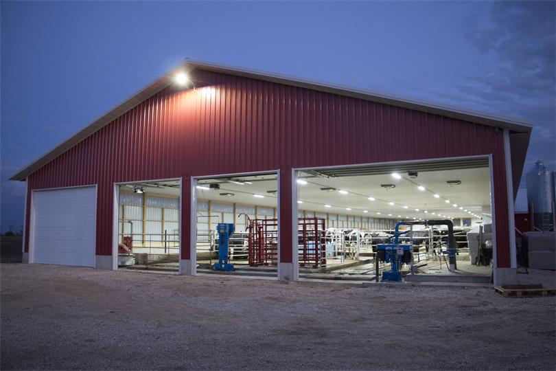 小图 AMB ZL Style Farm Pendant Highbay_Dairy Cattle Farm (1).jpg