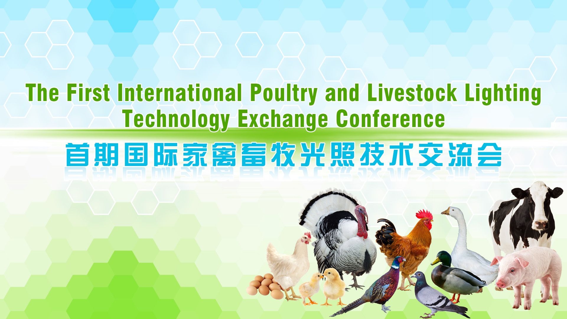 首期国际家禽畜牧光照技术交流会封面.jpg