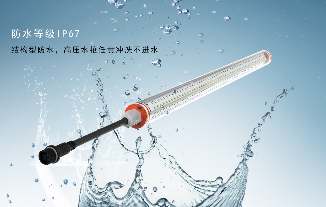 T12详情-4.jpg