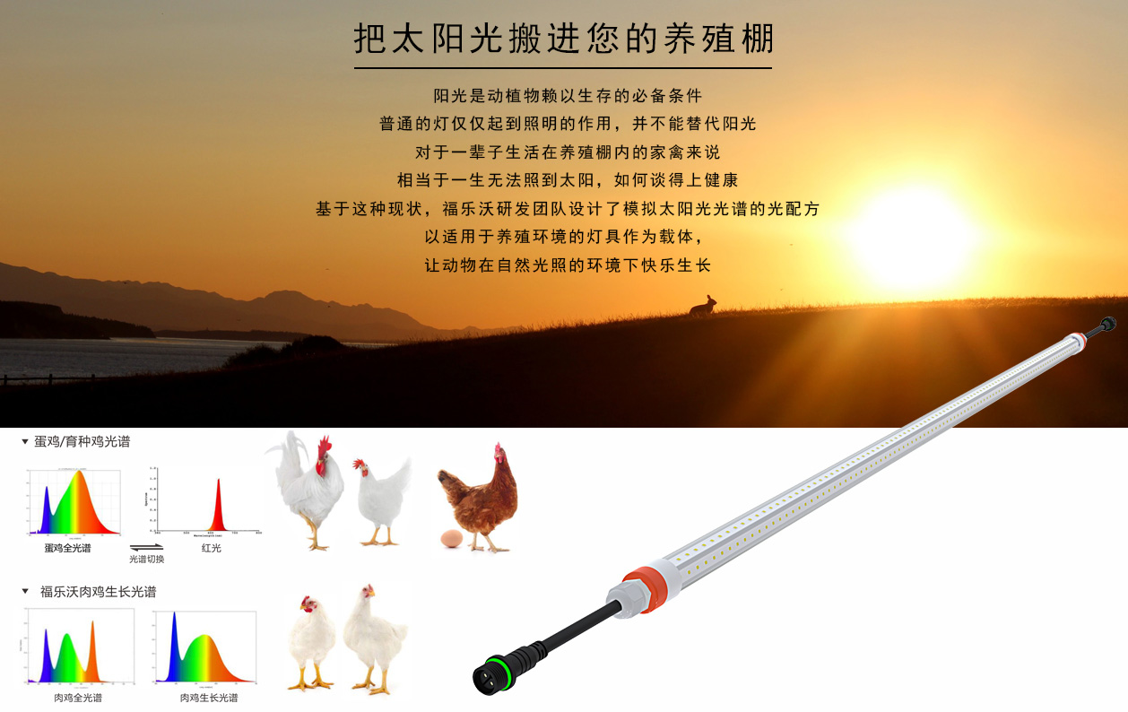 T8-K详情-1.jpg