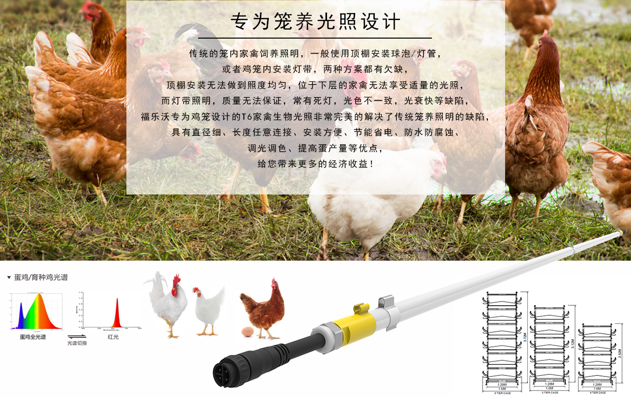 T6详情-1.jpg