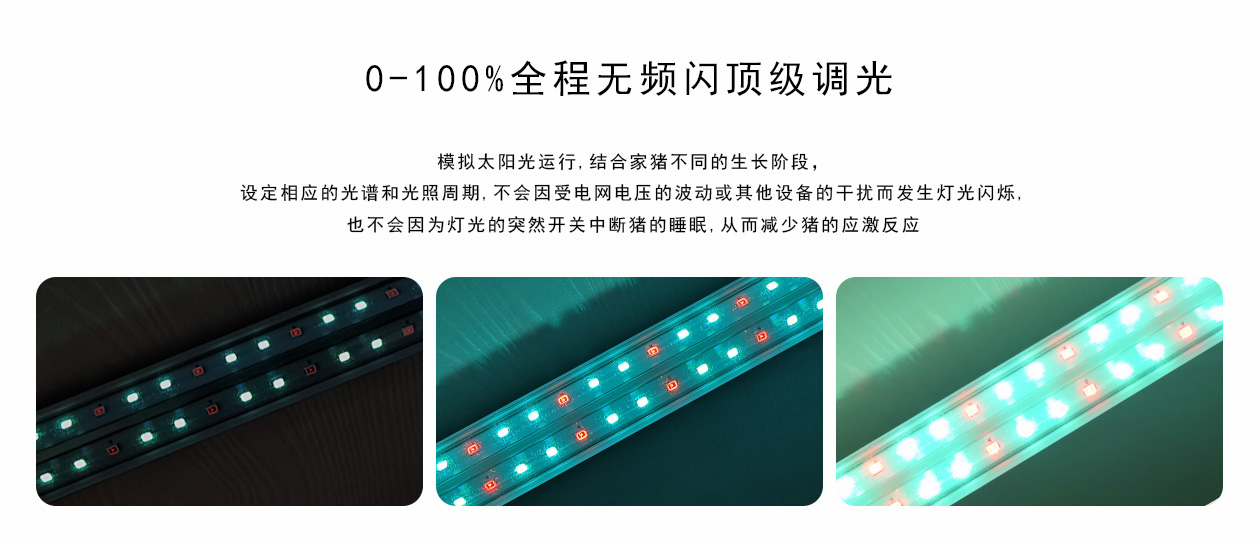 T10（养猪）详情-2.jpg