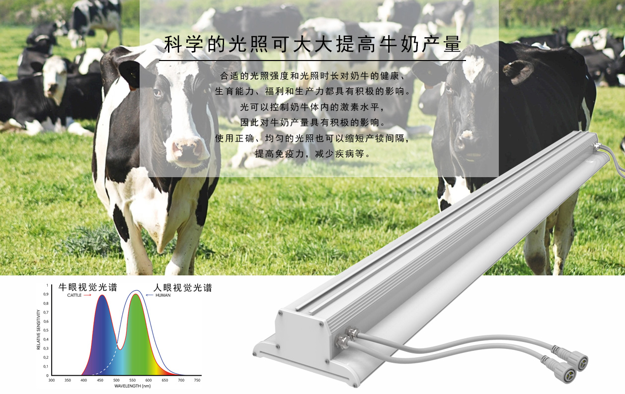 ZLC详情-1.jpg