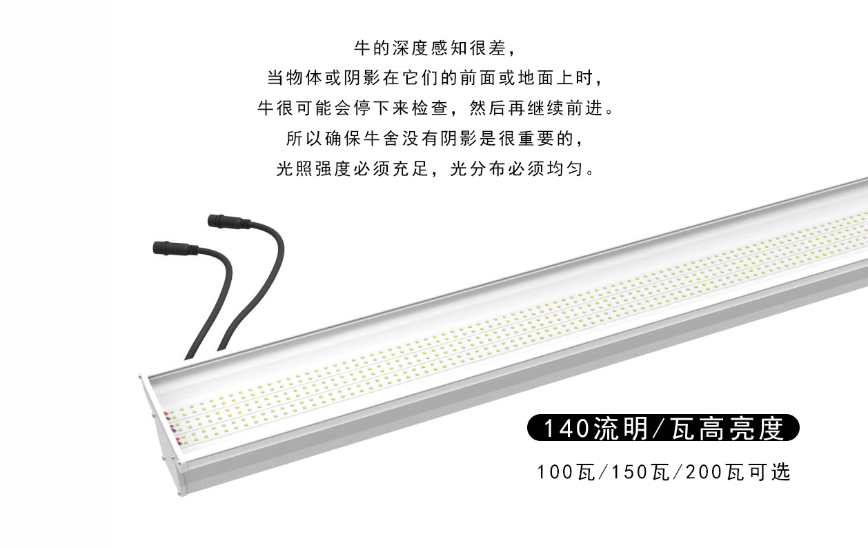 ZLC详情-2.jpg